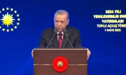 Erdoğan: Ülkemizi başarıdan başarıya koşturduğumuz alanların en başında enerji sektörü geliyor