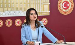 DEM Parti: Siyasi partilerin İmralı'ya gitmesinde hiçbir engel yok