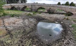 Edirne'deki Tunca Nehri'nde Su Akışı Durdu