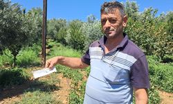 Aile Yılı’na Destek: Esnaftan Evlenecek Çiftlere %40 İndirim