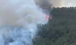 Karabük’te Orman Yangını! Alevlere Havadan Müdahale Ediliyor