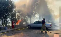 İzmir Kemalpaşa’da Yol Kenarı Yangını: 30 Dekar Alan Zarar Gördü