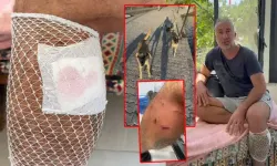 Datça’da Sahipsiz Köpek Saldırısı: Yürüyüş Yapan Kişi Yaralandı