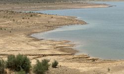 Bodrum'da Kuraklık Alarmı Sürüyor