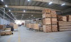 Atık Değil Enerji: Fabrikanın Talaşı Güce Dönüşüyor!