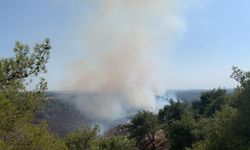 Adana Sarıçam’da Orman Yangınına Havadan ve Karadan Müdahale