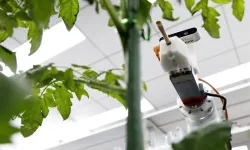 Çin’den Tarım İçin Yapay Zekâ Destekli İlk Robot
