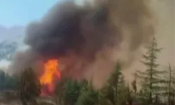 Arıcının Yaktığı Ateş Ormana Sıçradı: 25 Saatte Söndürüldü