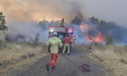 Bursa’da Orman Yangınına Havadan ve Karadan Müdahale