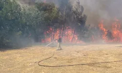 Çanakkale’de Orman Yangını: Havadan ve Karadan Müdahale Başladı