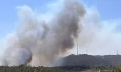 Çanakkale’de Orman Yangını: Kazdağları Tehlike Altında