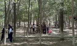 Iğdır’da “Çöpünü Topla, Ücretsiz Piknik Yap” Kampanyası Başladı