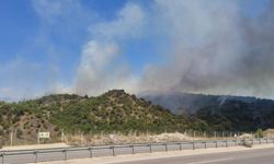 Tokat Erbaa’da Orman Yangınına Müdahale Sürüyor