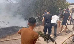 Yayladağı’ndaki Orman Yangını Söndürüldü