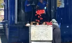 Ataşehir’de zincir market kasalarca domatesi çöpe döktü