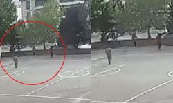 Kahraman Müdür! Freni Boşalan Aracı Atlayarak Durdurdu, Facia Önlendi