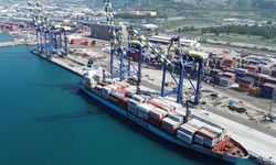 Tarım, Gıda ve İçecek Sektörü 7 Ayda 15,54 Milyar Dolar İhracat Gerçekleştirdi