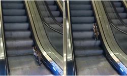 Sabiha Gökçen Havalimanı’nda Kedinin Yürüyen Merdivenle İmtihanı