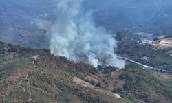 Düzce’nin Yığılca İlçesinde Orman Yangınına Müdahale Sürüyor