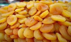 Zirai Don Kayısı İhracatını Vurdu: Gelir Yüzde 24 Azaldı