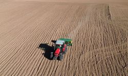 Kuraklık Yozgat’ta Buğday Ekimini Geciktirdi: Çiftçiler Kasım Ortasında Tarlaya Girebildi