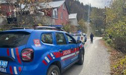 2 Kasım’dan bu yana kayıp olan anne ve oğlu için Alantepe ve Köseali çevresinde arama çalışması sürüyor.