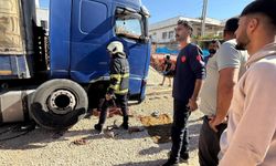 Mardin’de tırın altında kalan şoför Hamza Gümüş, hastanede yaşamını yitirdi.