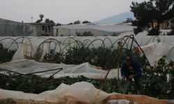 Bozyazı’da Hortum Felaketi: 30 Sera Zarar Gördü