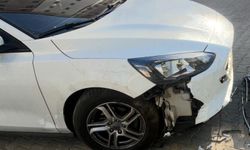 Divriği’de Başıboş Köpekler Otomobili Parçaladı: 108 Bin Liralık Zarar