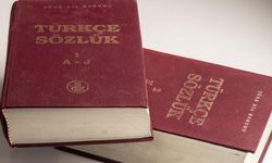 Ermenistan’da 400 okul Türkçe dersini müfredata almak istiyor: En büyük ilgi Türk diline