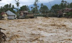 Endonezya’daki felaket sonrası Tapanuli orangutanları için büyük endişe