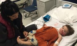 Ankara’da İki Kardeşe Saldıran Köpeğin Sahibi Tutuklandı