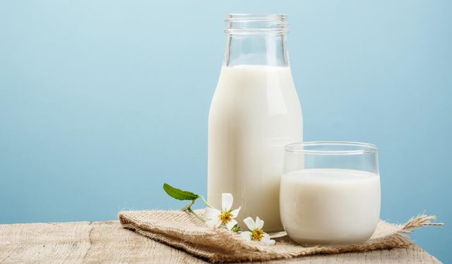 TÜİK Mart 2025 süt üretim verilerini açıkladı
