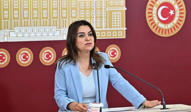 DEM Parti: Siyasi partilerin İmralı'ya gitmesinde hiçbir engel yok