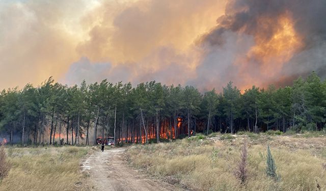 Antalya'da Orman Yangınlarına Havadan Ve Karadan Müdahale Ediliyor