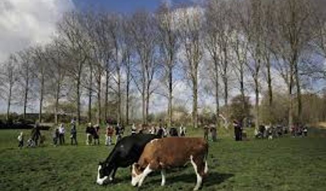 2026’da Tarımsal Destek 167,6 Milyar Liraya Çıkacak: Hayvancılık ve Üretimde Yeni Dönem