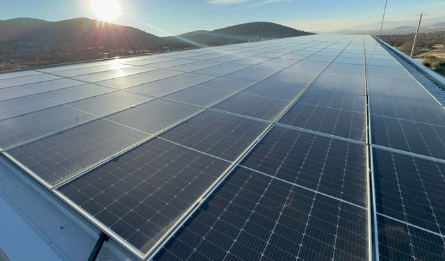 Köyde Kurduğu Tesiste Yılda 300 Ton Mantar Üretiyor, Elektriğini Güneşten Sağlıyor