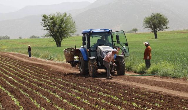 Bitkisel Üretim Desteklerinde Yeni Dönem