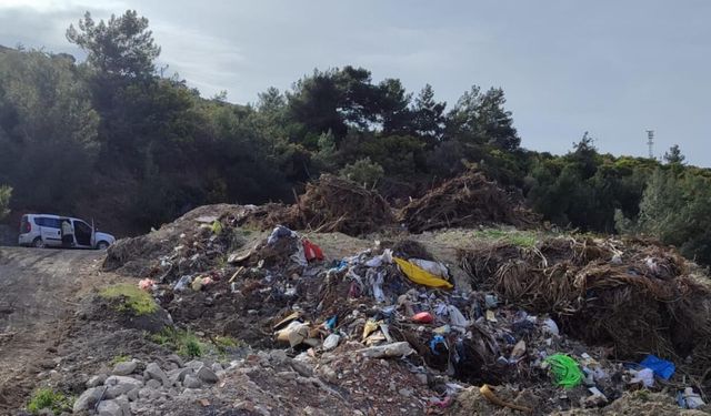 Ormanlık Alana Atık Döken Belediyeye 4,6 Milyon Lira Ceza
