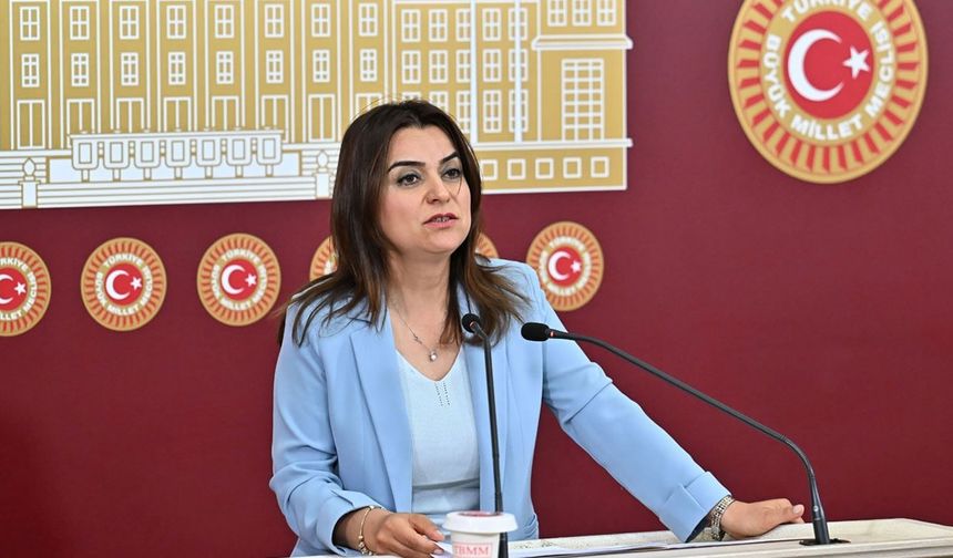 DEM Parti: Siyasi partilerin İmralı'ya gitmesinde hiçbir engel yok