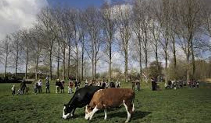 2026’da Tarımsal Destek 167,6 Milyar Liraya Çıkacak: Hayvancılık ve Üretimde Yeni Dönem