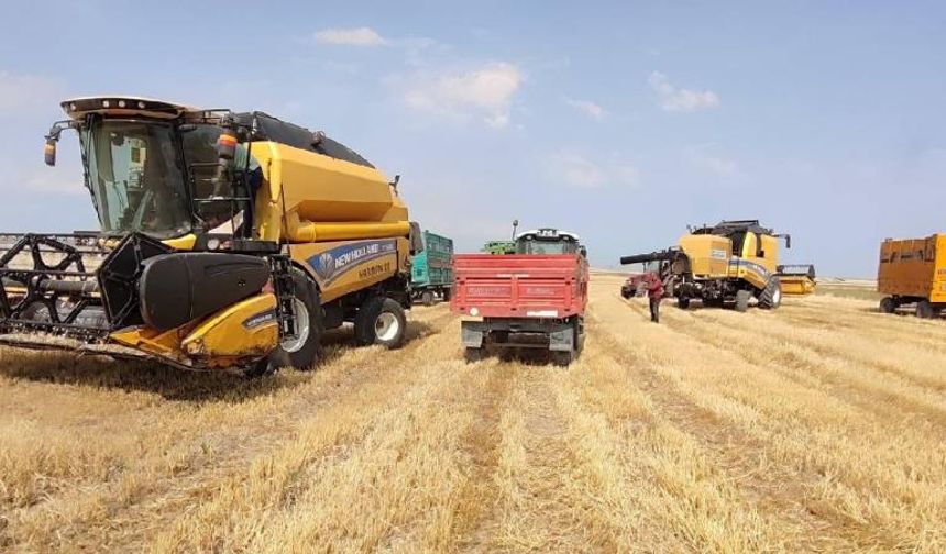 Türk Tarım İhracatı 2025’te Rekor Kırdı: 36,4 Milyar Dolar