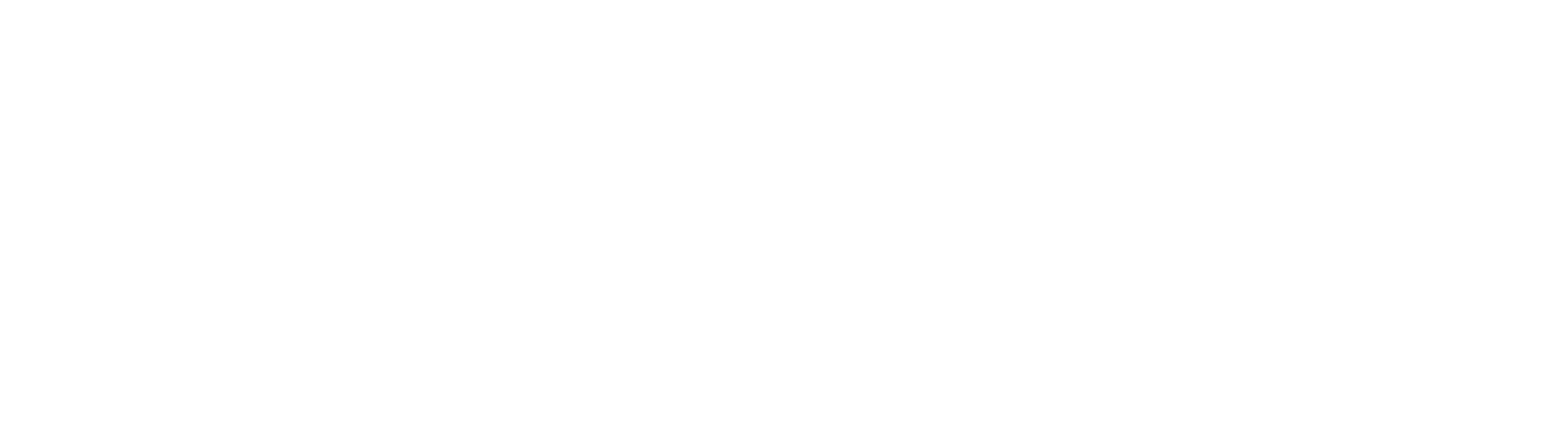 Türkiye Times